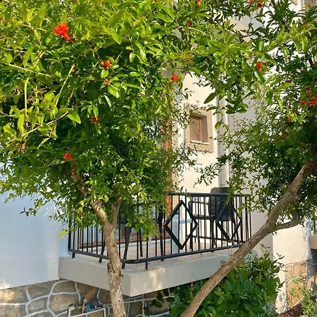 Hotel Cennet 3*
